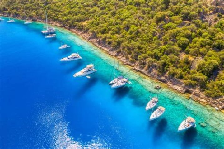 Explore: Turkish Ifa Sitesi & Related Content | Discover Now